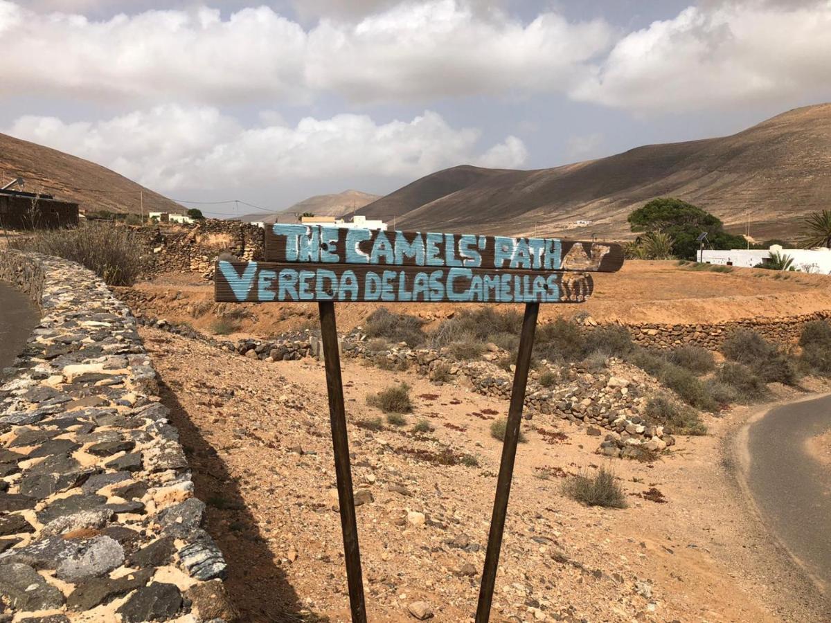 Vereda De Las Camellas Hotel Puerto del Rosario  Exterior foto